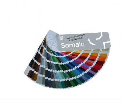 nuancier couleurs ral somalu